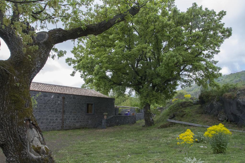 Viola Nel Parco Villa SantʼAlfio Kültér fotó