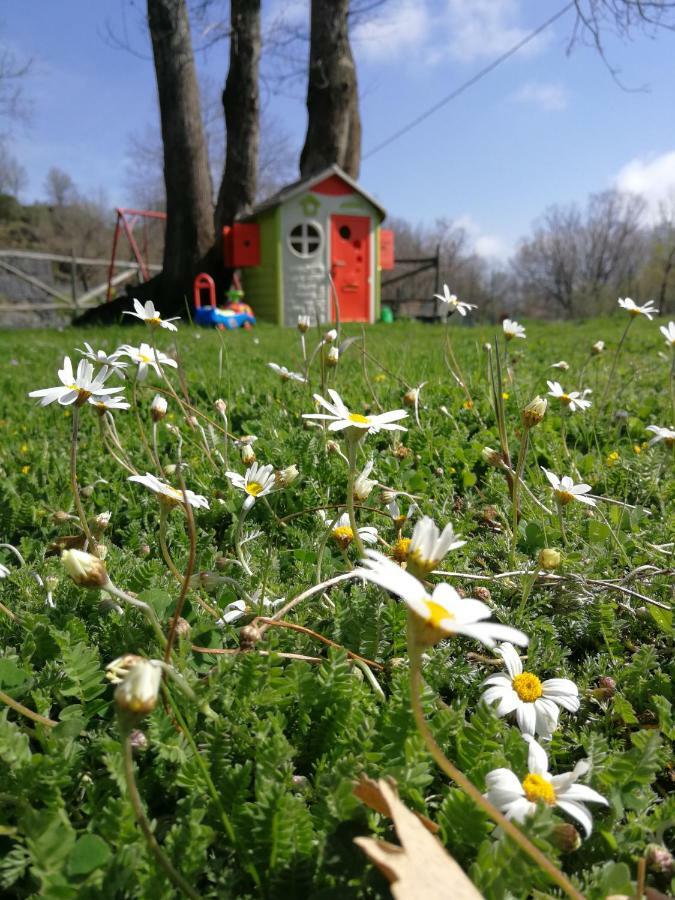 Viola Nel Parco Villa SantʼAlfio Kültér fotó