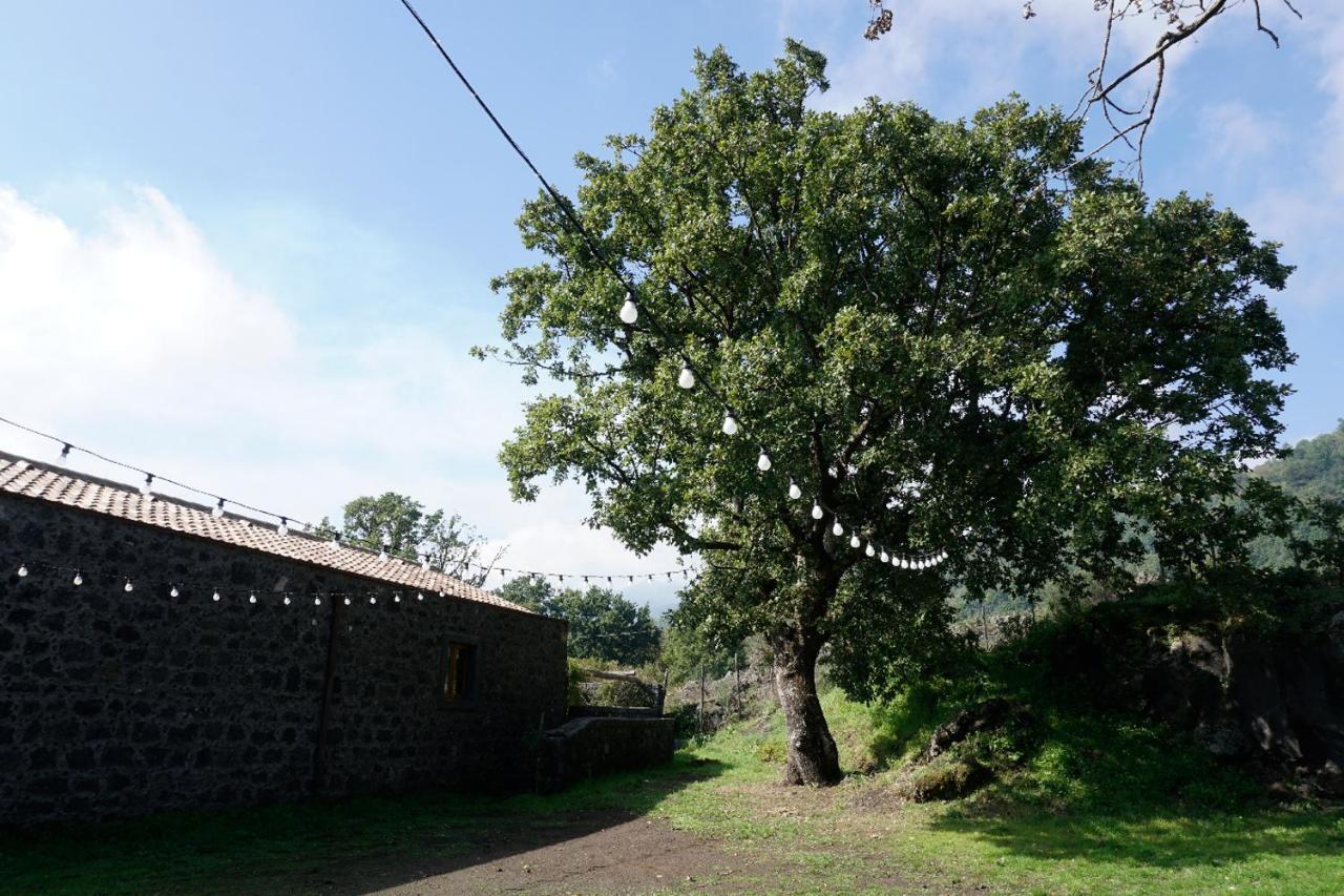 Viola Nel Parco Villa SantʼAlfio Kültér fotó